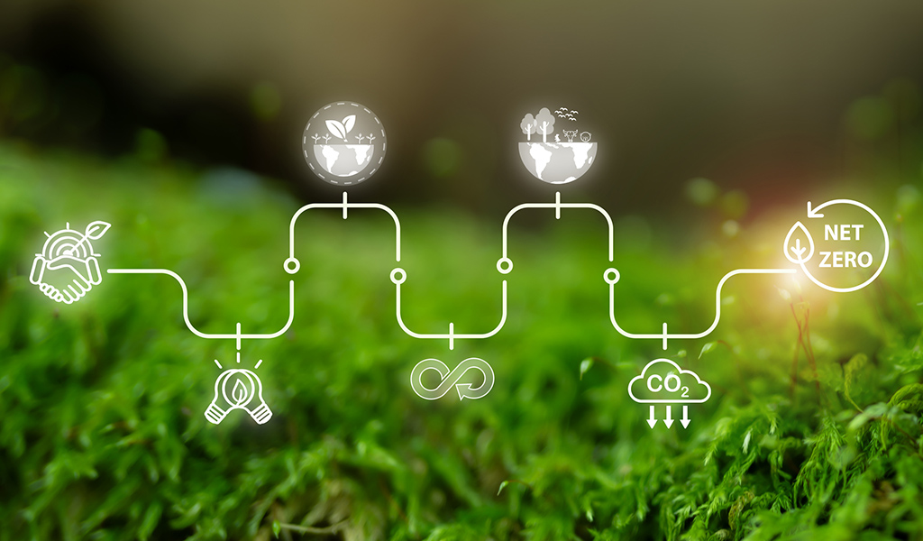 響應淨零碳排政策